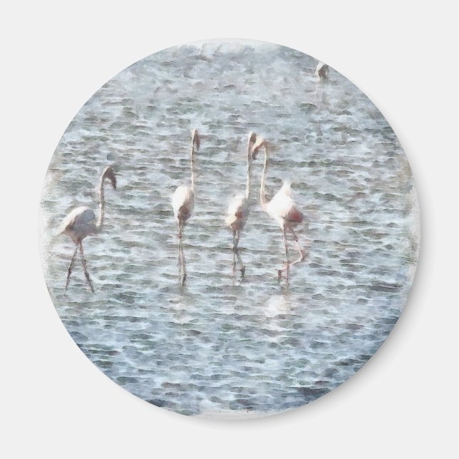 A Flamboyant Pat of Flamingos Magnet (Vorne)