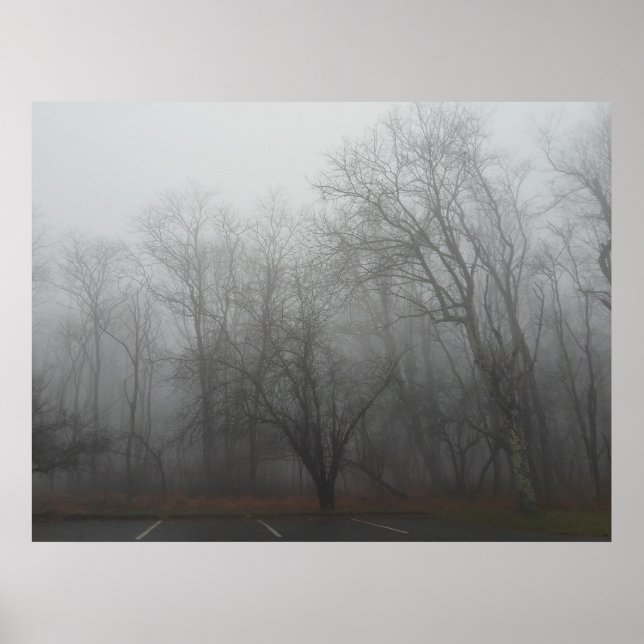 A foggy day on the Skyline Drive in Virginia Poster (Vorne)