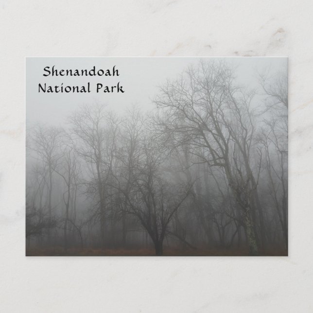A foggy day on the Skyline Drive in Virginia Postkarte (Vorderseite)