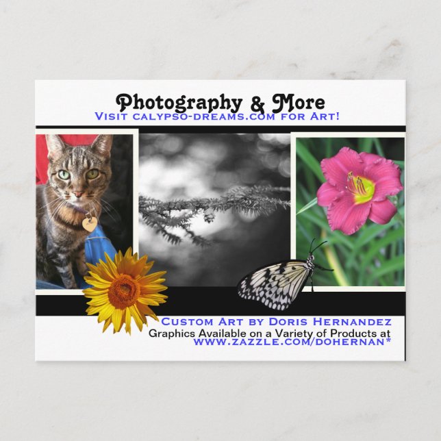 A* Fotografie und mehr Visitenkarte Postkarte (Vorderseite)