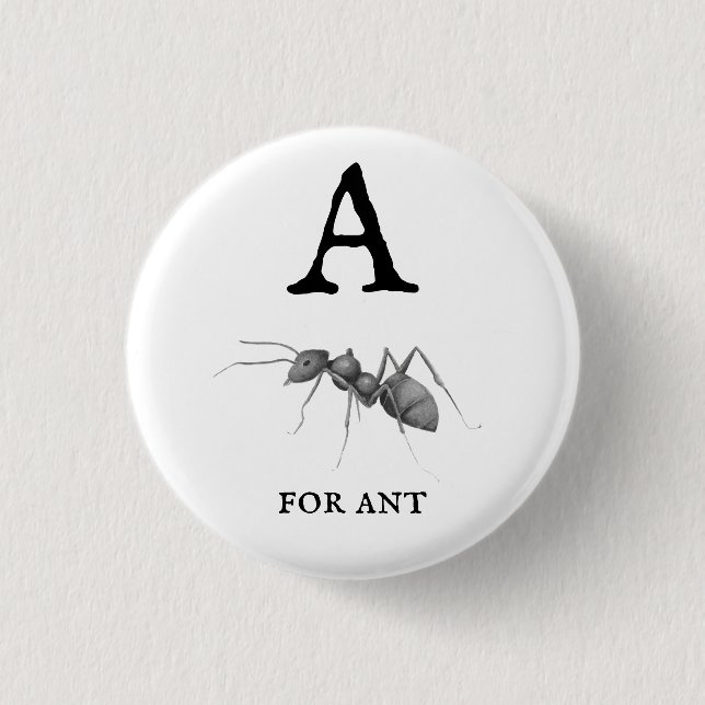 ‚A‘ für Ant Button (Vorderseite)