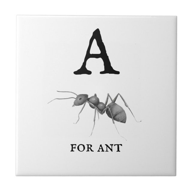 ‚A‘ für Ant Fliese (Vorderseite)