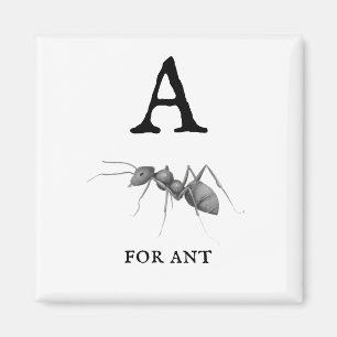 ‚A‘ für Ant Magnet