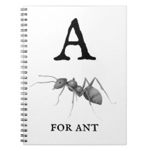 ‚A‘ für Ant