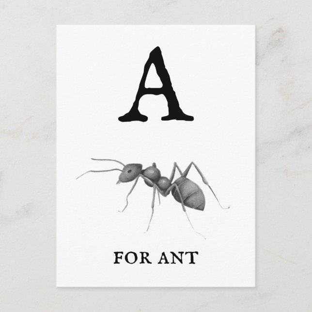 ‚A‘ für Ant Postkarte (Vorderseite)