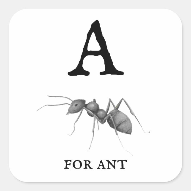 ‚A‘ für Ant Quadratischer Aufkleber (Vorderseite)