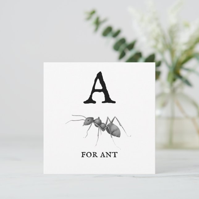 "A" für die Ant-Flachkarte (Stehend Vorderseite)
