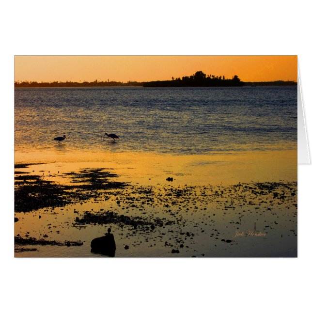 "A Golden Sunset" in Dunedin, Florida (Vorderseite (Horizontal))