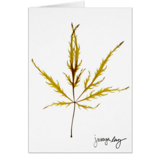 "A gravé à l'eau-forte la feuille" par J. Maya Luz