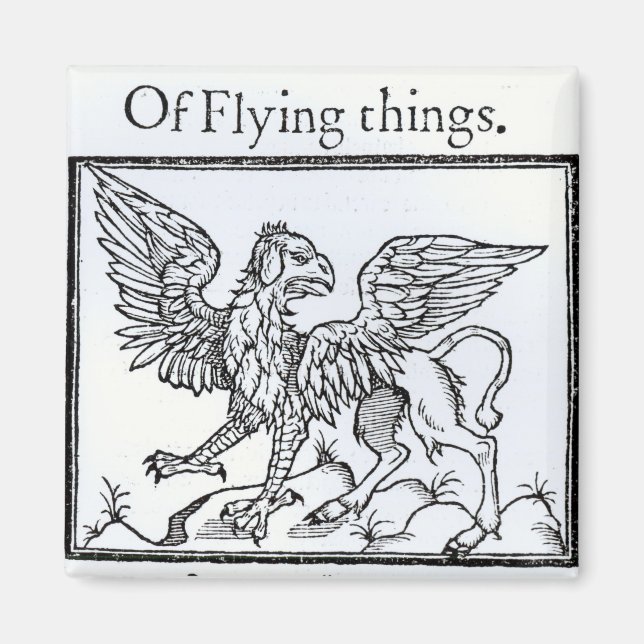A Griffin Magnet (Vorne)
