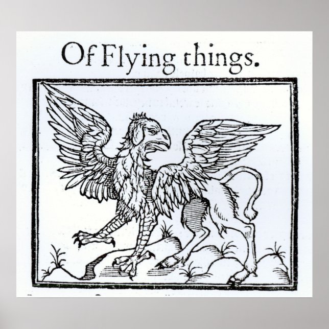 A Griffin Poster (Vorne)