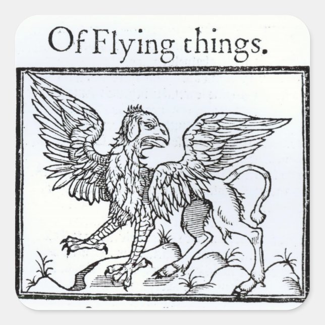 A Griffin Quadratischer Aufkleber (Vorderseite)