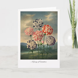 A Group of Carnations — Modern Botanical Reinterpr Karte