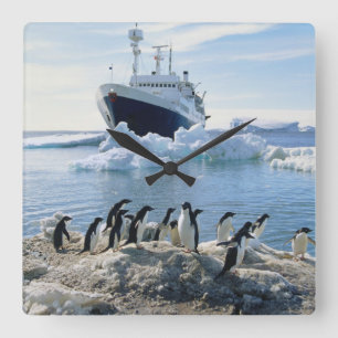 A Group Of Penguins Standing On An Icy Beach Quadratische Wanduhr