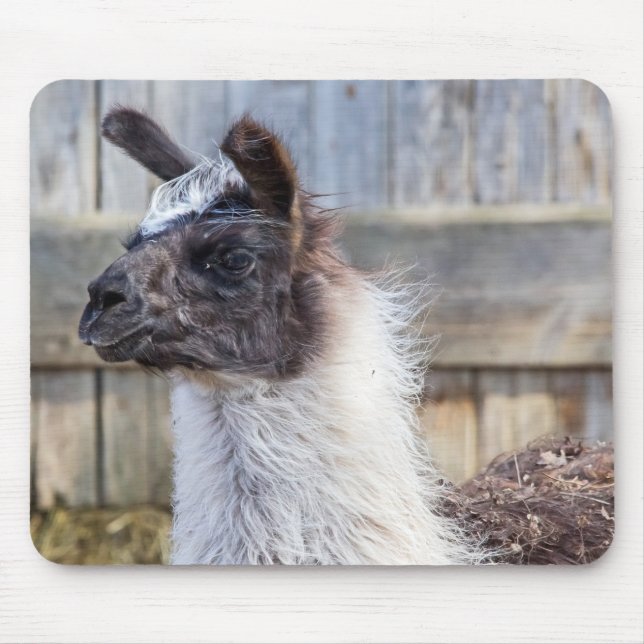 A Happy Llama Mousepad (Vorne)