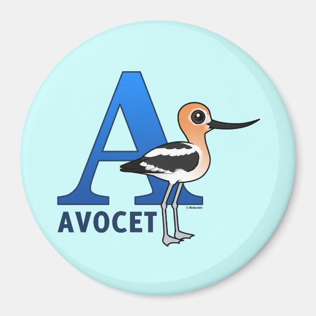 A ist für Avocet Magnet (Vorne)