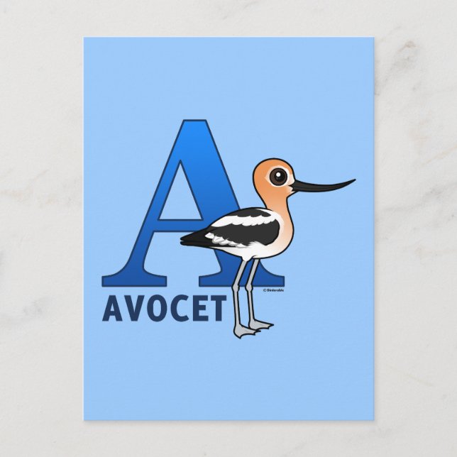 A ist für Avocet Postkarte (Vorderseite)