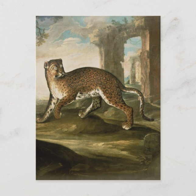 A Jaguar Postkarte (Vorderseite)