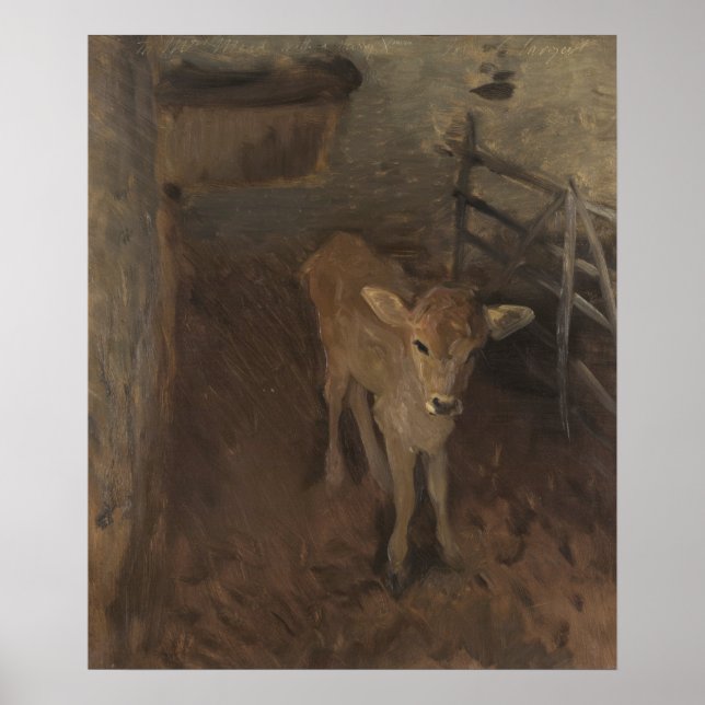 A Jersey Calf Poster (Vorne)