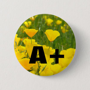 A+ Knöpfe Mohn Blumen Garten Wiese Button