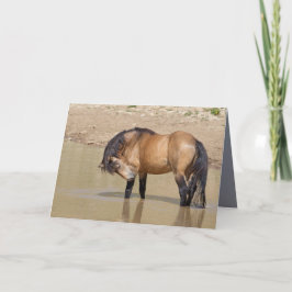 À la carte de voeux du Wild Horse Waterhole