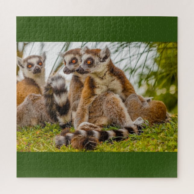 a lemur huhiale female on puzzle (Vertical)