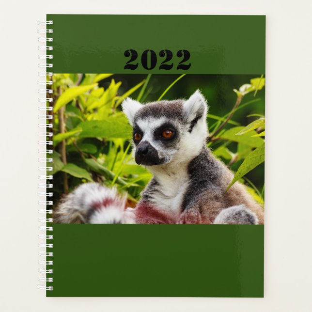 a lemur of Madagascar on planner Planer (Vorderseite)