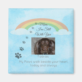 A Little Light Beyond the Rainbow Magnet