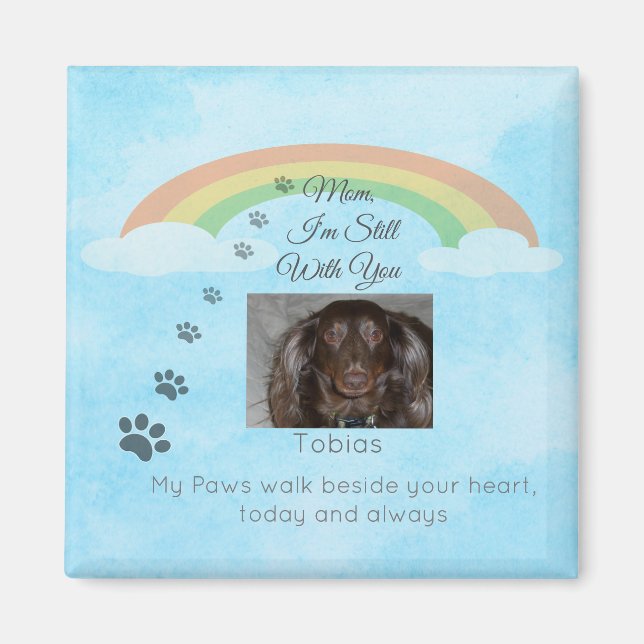 A Little Light Beyond the Rainbow Magnet (Vorne)