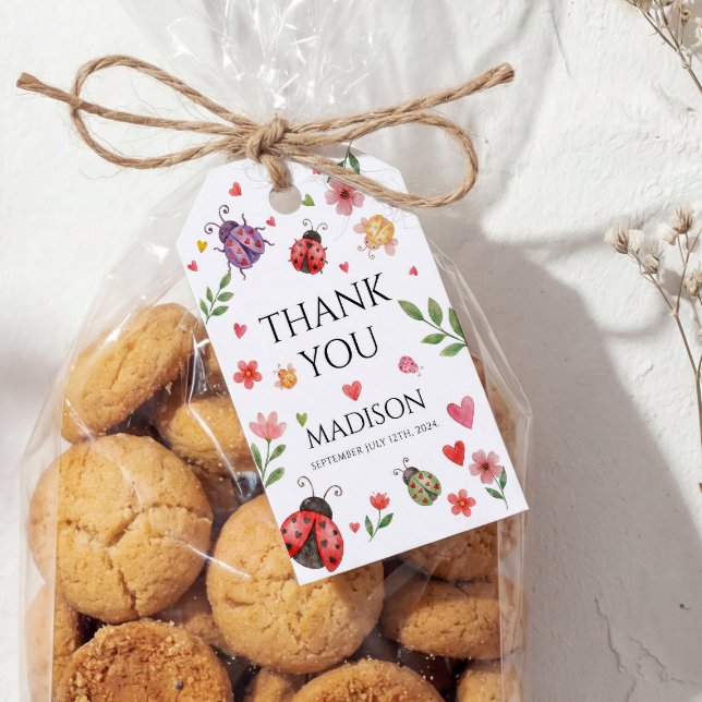 A Little Love Bug Baby Shower  Geschenkanhänger (Von Creator hochgeladen)