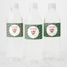 A Little Reindeer Is On The Way