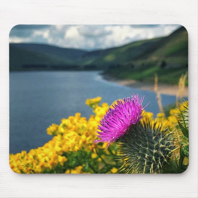 A lone thistle overlooking Megget Reservoir Mouse Mousepad (Vorne)