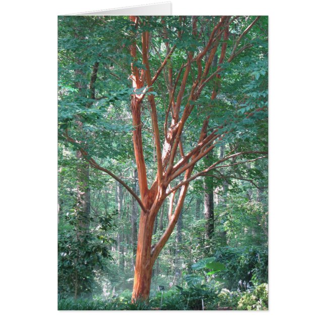 À l'unité (Devant)