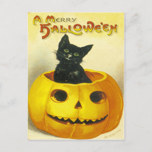 A Merry Hallowe'en Feiertagspostkarte