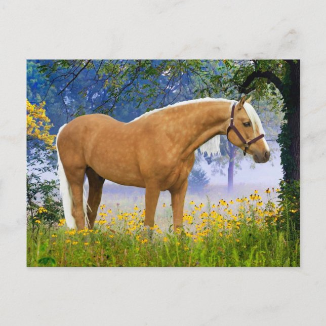 "A Misty Morning" Postkarte (Vorderseite)