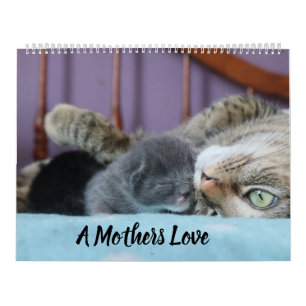 A MOTHERS LOVE MAMACAT & HER KITTENS KALENDER