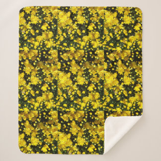 A Multitude of Yellow Mums Sherpadecke