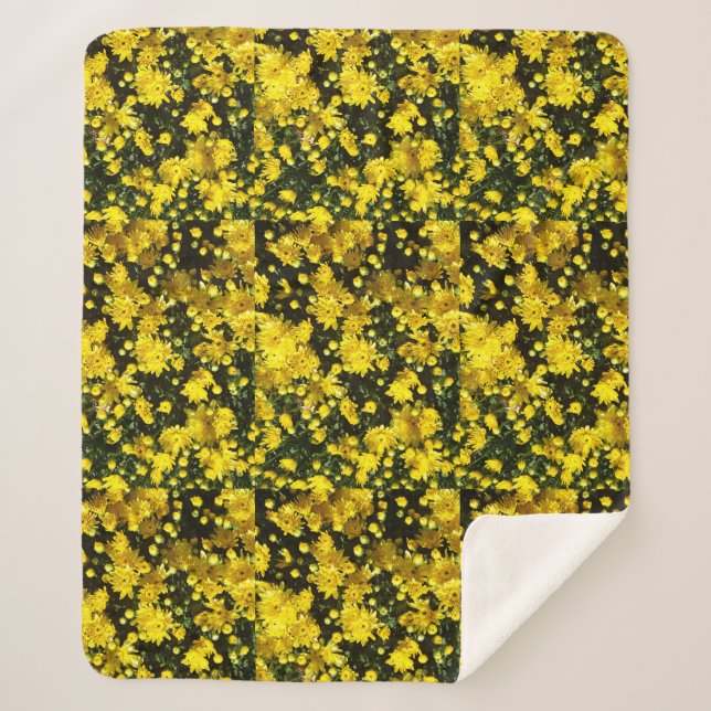 A Multitude of Yellow Mums Sherpadecke (Vorderseite)
