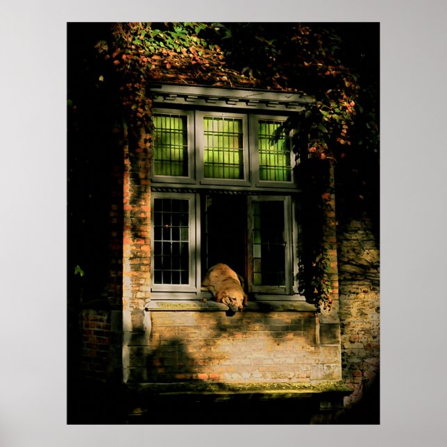 A nap in the sun II Poster (Vorne)