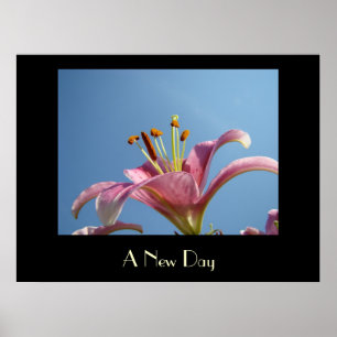 A NEW DAY Kunstdrucke Rosa Calla-Lilien-Blumen Kun Poster