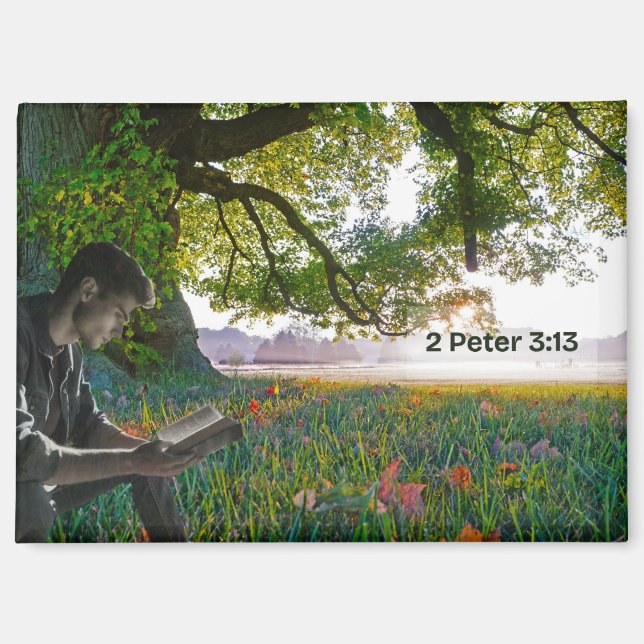 A New World Magnet (Vorderseite)