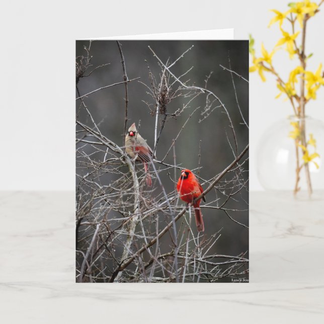 A Pair of Robins Karte (Gelbe Blume)