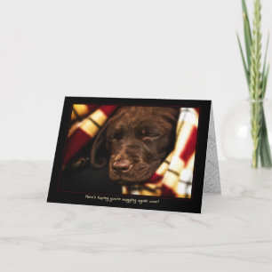 A-PAL -Labrador Retriever Puppy   Brunnen-Karte Karte