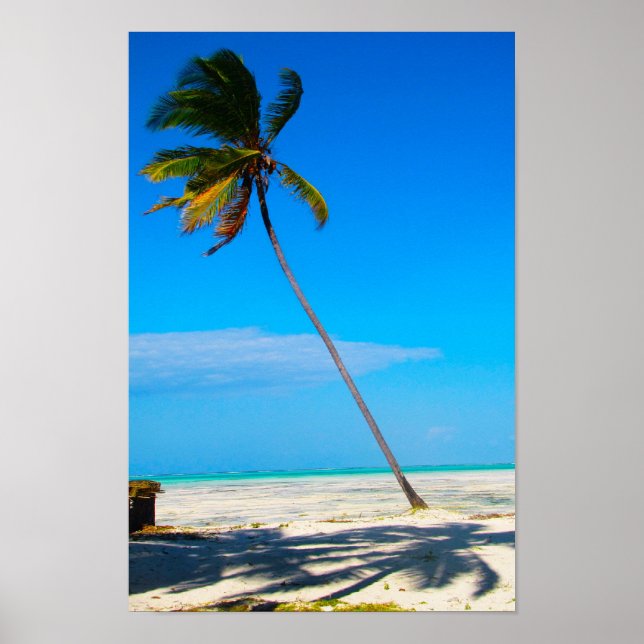 A Palm Poster (Vorne)