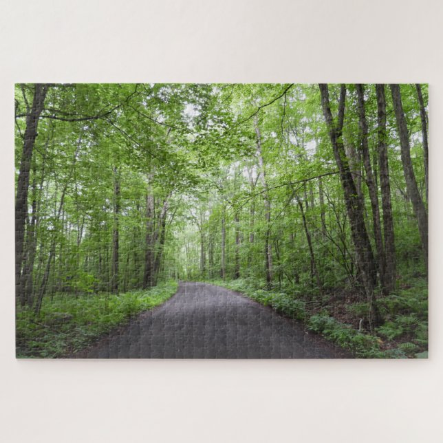 A Path Through The Woods (Horizontal)