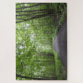 A Path Through The Woods