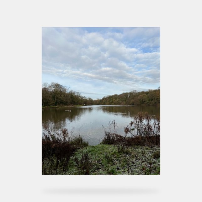 A peacful lake.. acrylschild (Vorderseite)