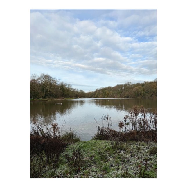 A peacful lake.. fotodruck (Vorne)