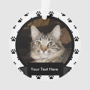 A personnalisé votre chat d'animal familier