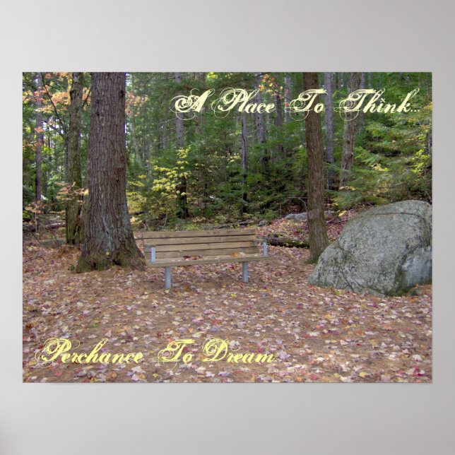 A Place To Think, Perchance To Dream Poster (Vorne)